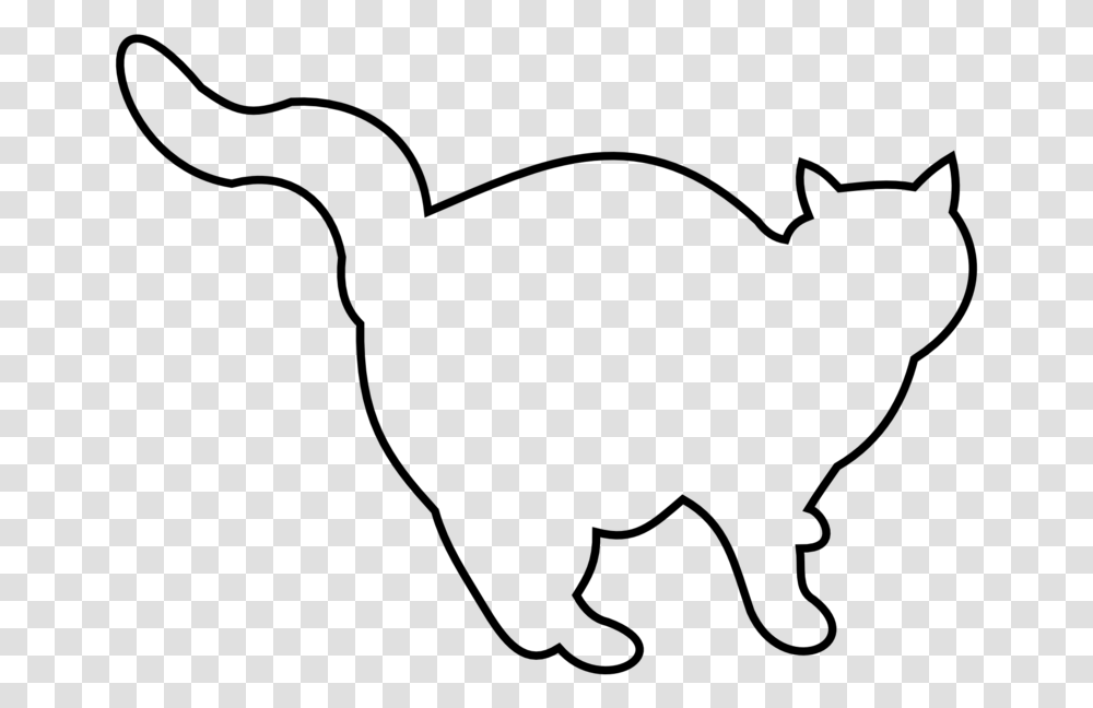 Fat Cat Fat Cat Pumpkin Stencil, Gray, World Of Warcraft Transparent Png