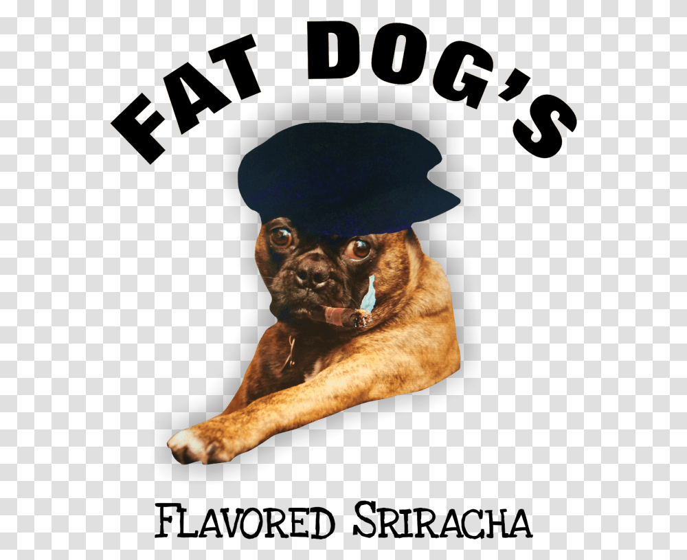 Fat Dogs Flavored Sriracha Logo Dog Licks, Poster, Advertisement, Flyer, Paper Transparent Png