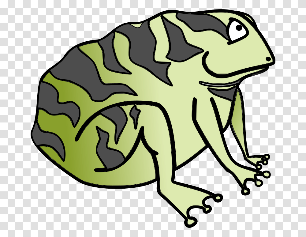 Fat Frog Cliparts, Animal, Amphibian, Wildlife, Insect Transparent Png