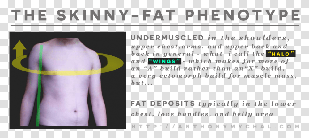 Fat Guy Skinny Fat, Person, Face Transparent Png