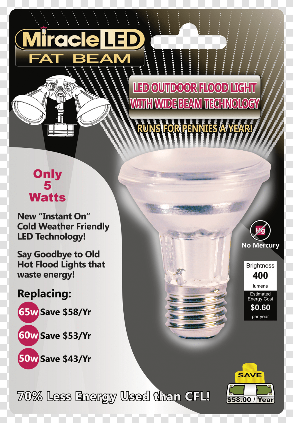 Fat Light Bulbs, Flyer, Poster, Paper, Advertisement Transparent Png