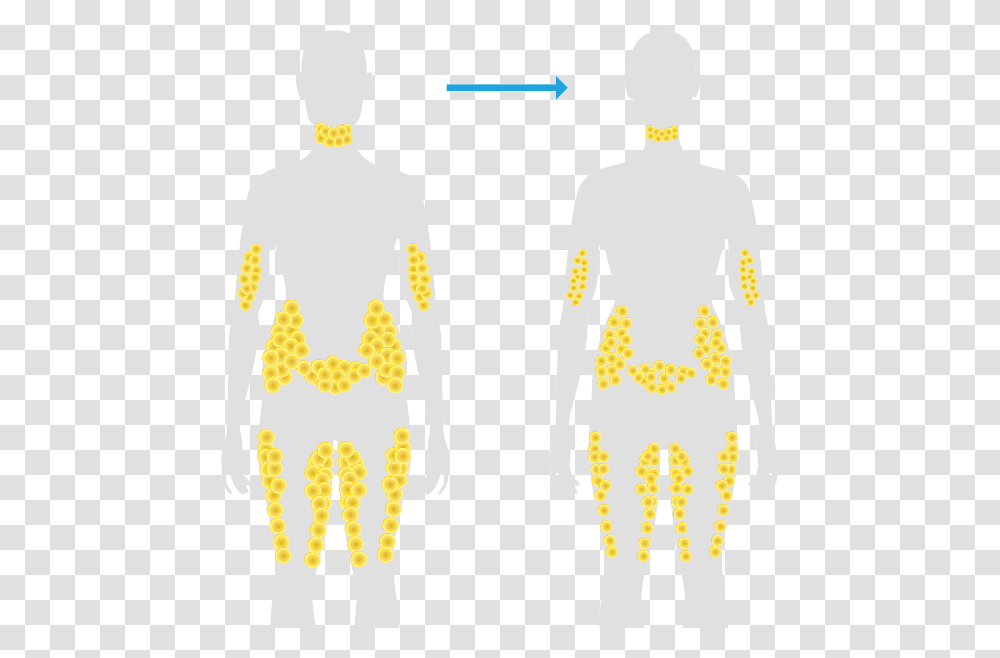 Fat Person, Plot, Back, Torso Transparent Png