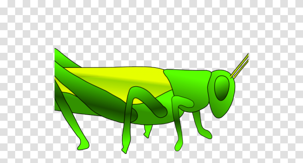 Fauna Clipart Grasshopper Locust Encapsulated Postscript, Insect, Invertebrate, Animal, Grasshoper Transparent Png