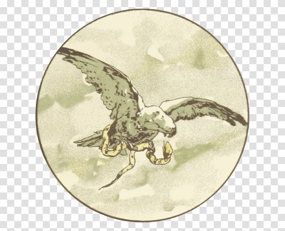 Faunaorganismwing, Meal, Eagle, Bird, Painting Transparent Png
