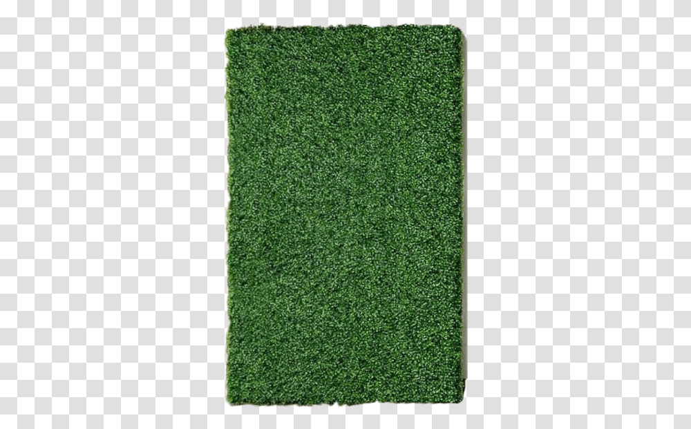 Faux Boxwood Wall Carpet, Moss, Plant, Grass, Rug Transparent Png