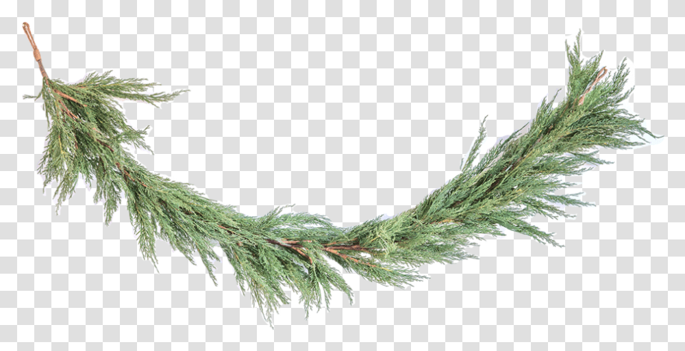 Faux Cedar Garland 1 Pine, Plant, Tree, Leaf, Conifer Transparent Png