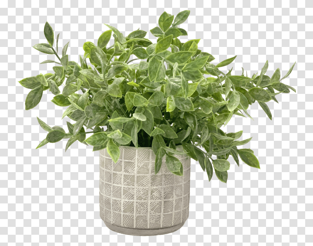 Faux Potted Plant, Vase, Jar, Pottery, Leaf Transparent Png