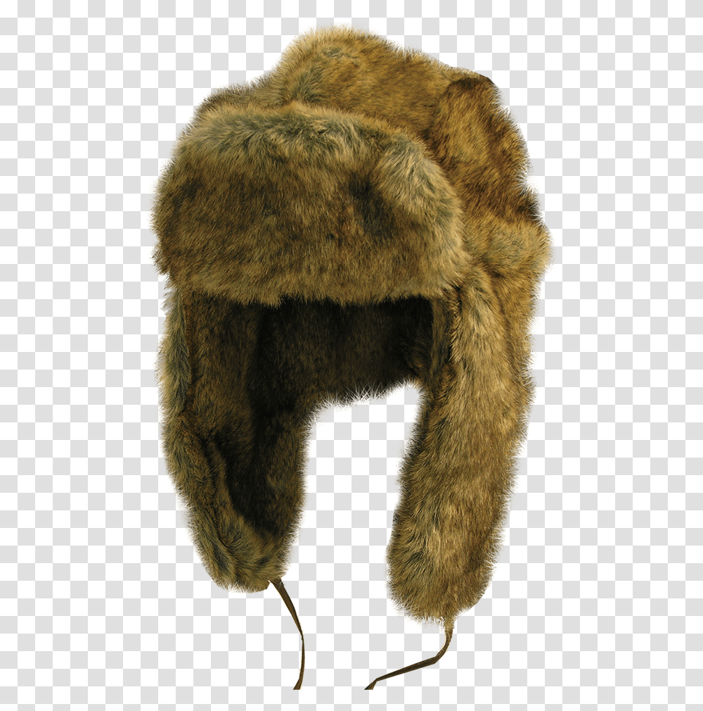 Faux Rabbit Russian Hat Background, Bear, Wildlife, Mammal, Animal Transparent Png