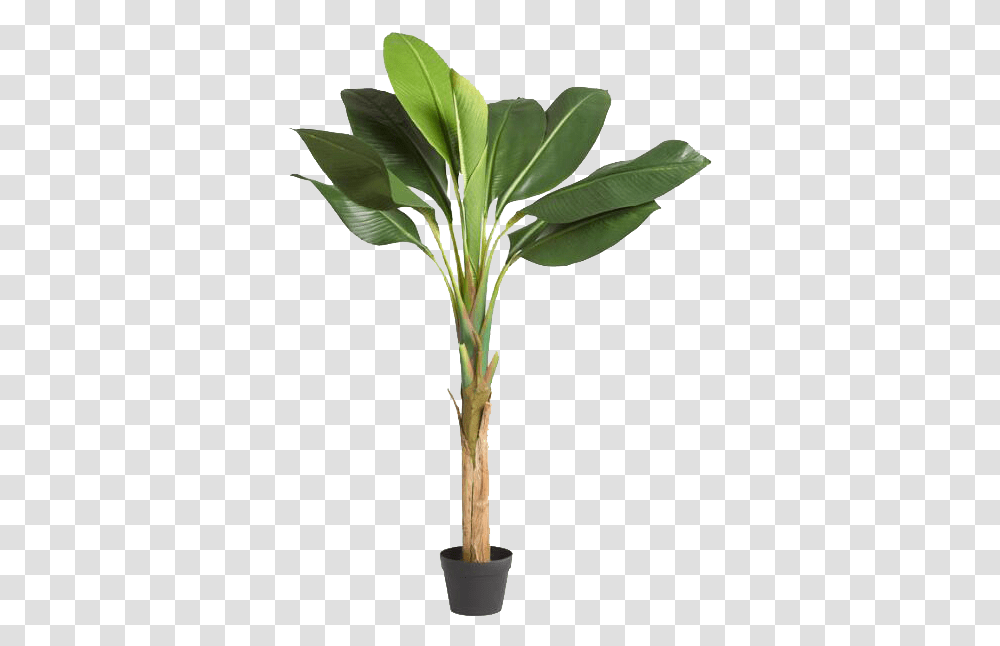 Faux Single Stalk Banana Tree Houseplant, Palm Tree, Arecaceae, Leaf, Flower Transparent Png