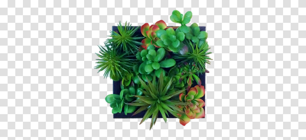 Faux Succulent Living Wall Edible Walls Grass, Plant, Flower, Potted Plant, Vase Transparent Png