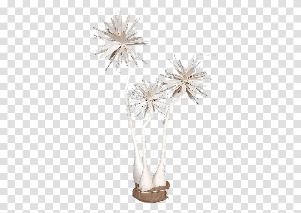 Faux Yucca Tree Cluster In The Event Dandelion, Plant, Flower, Blossom, Art Transparent Png