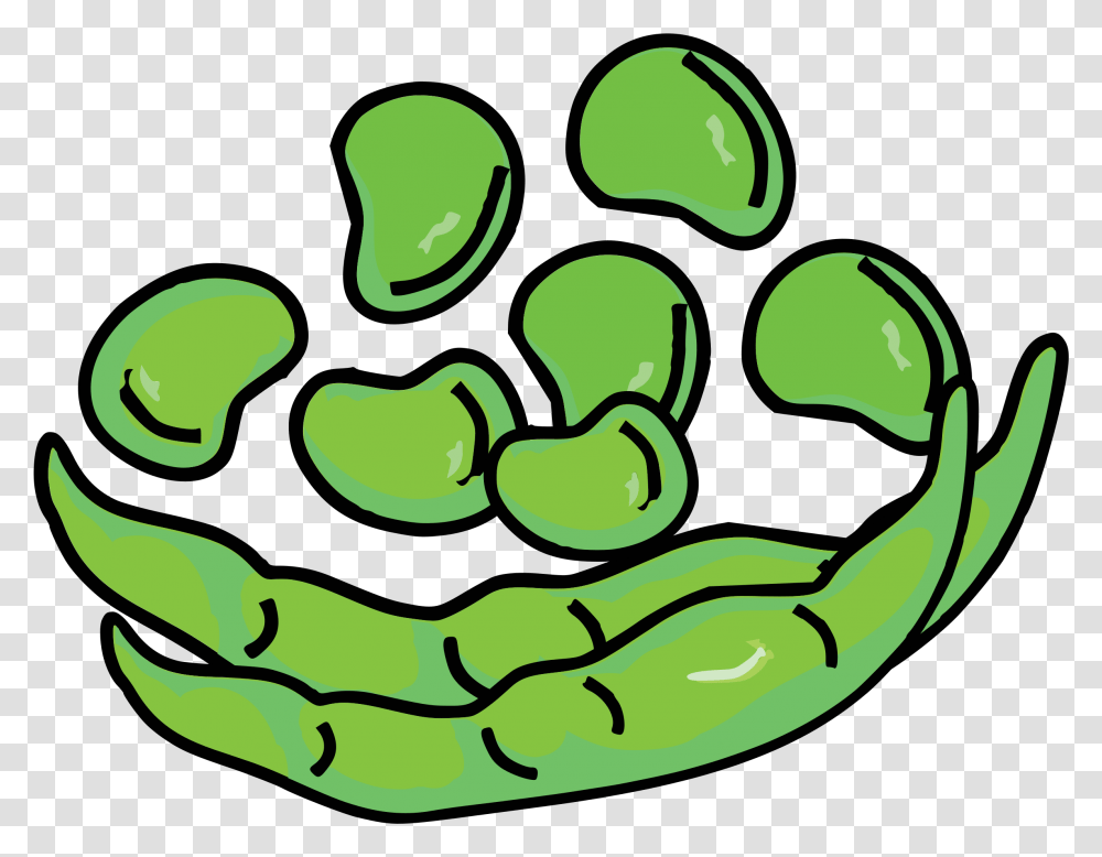 Fava Beans Clip Arts Fava Bean Clipart, Green, Plant, Food, Painting Transparent Png