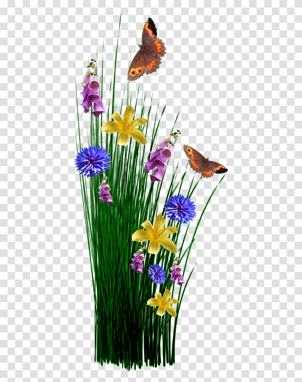 Favor Surrounds You Like A Shield, Plant, Flower, Iris, Vase Transparent Png