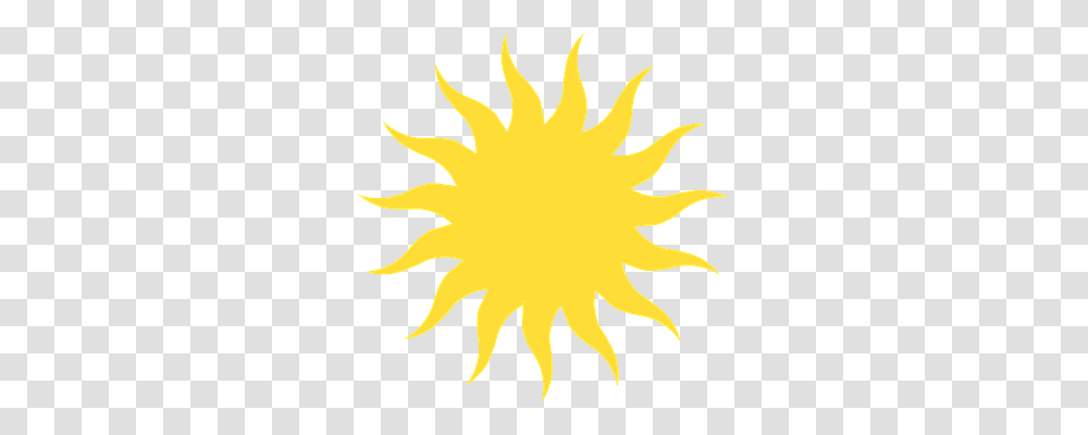 Favorites Pw Imagery Solar Sun And Solar Eclipse, Leaf, Plant, Flare Transparent Png