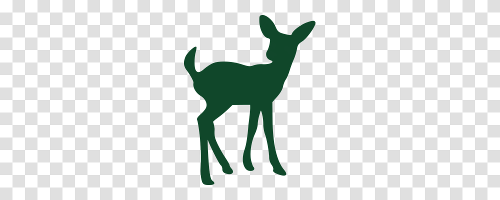 Fawn Animals, Mammal, Wildlife, Silhouette Transparent Png