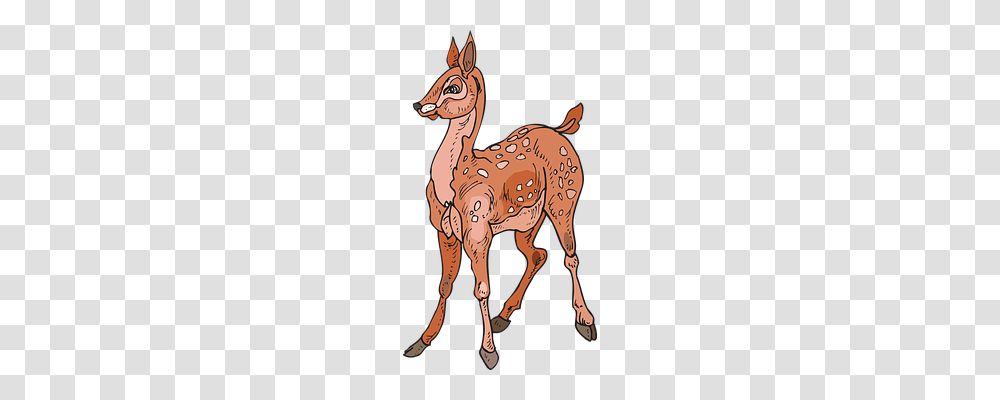 Fawn Nature, Animal, Tattoo, Skin Transparent Png