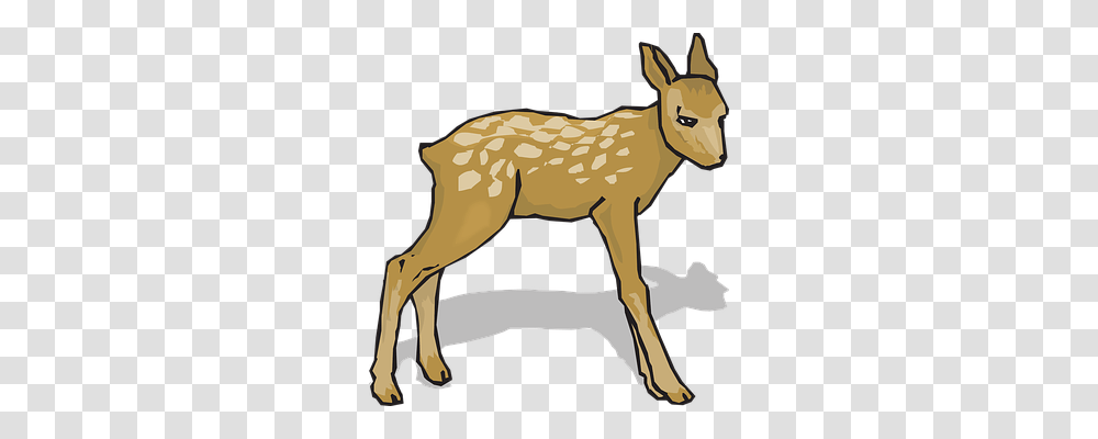 Fawn Nature, Mammal, Animal, Horse Transparent Png