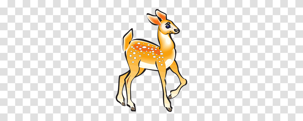 Fawn Nature, Animal, Wildlife, Mammal Transparent Png