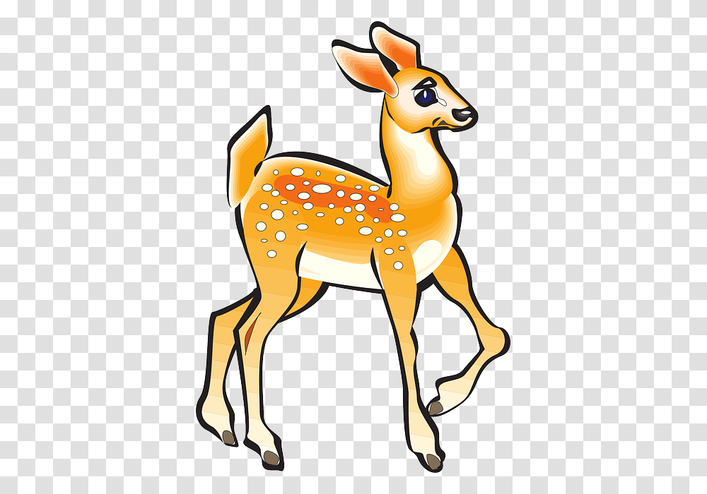 Fawn Animal Tail Posing Legs Bent Spots Pose Clipart Idea, Mammal, Wildlife, Deer, Antelope Transparent Png