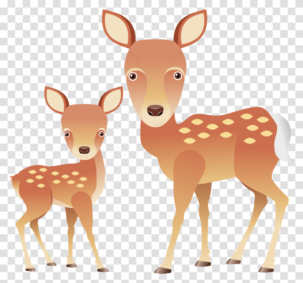Fawn Drawing White Tailed Deer Deer Cartoon, Wildlife, Mammal, Animal, Impala Transparent Png