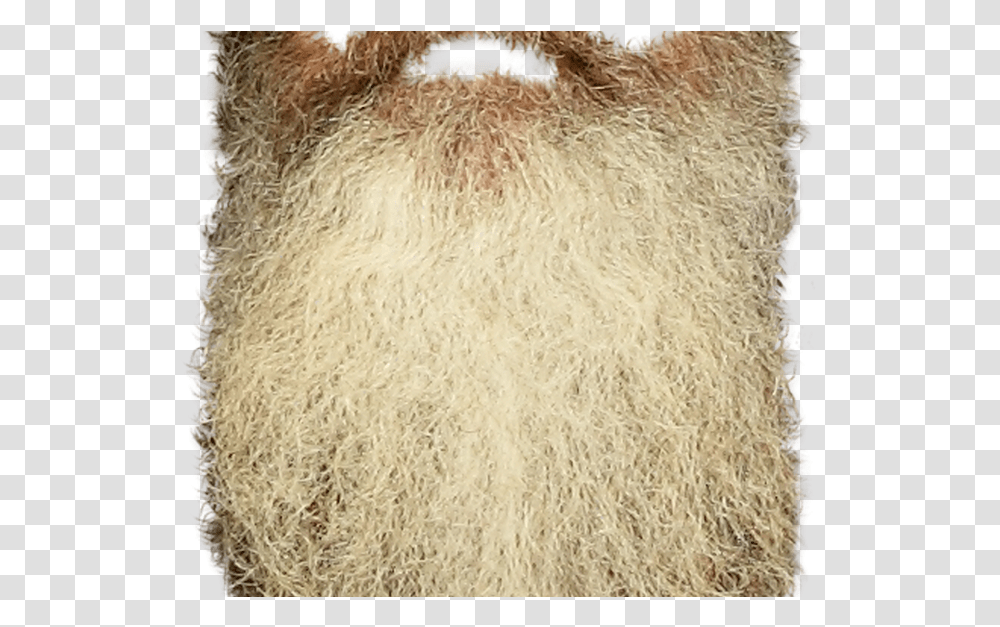 Fawn Wool, Face, Beard, Rug Transparent Png