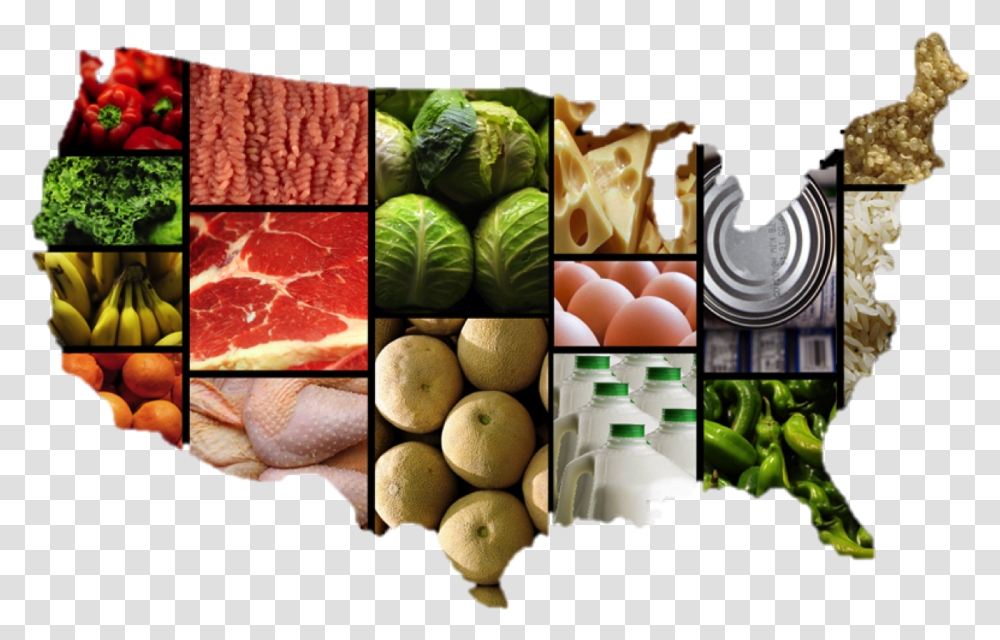 Fda Food Code 2017, Plant, Vegetable, Cabbage, Pizza Transparent Png