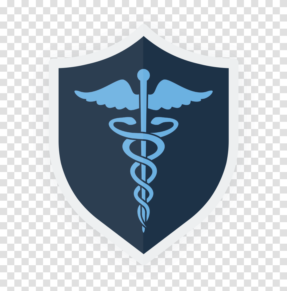 Fda Medical Device Symbols Advanced Practices In Nursing Journal, Shield, Armor Transparent Png