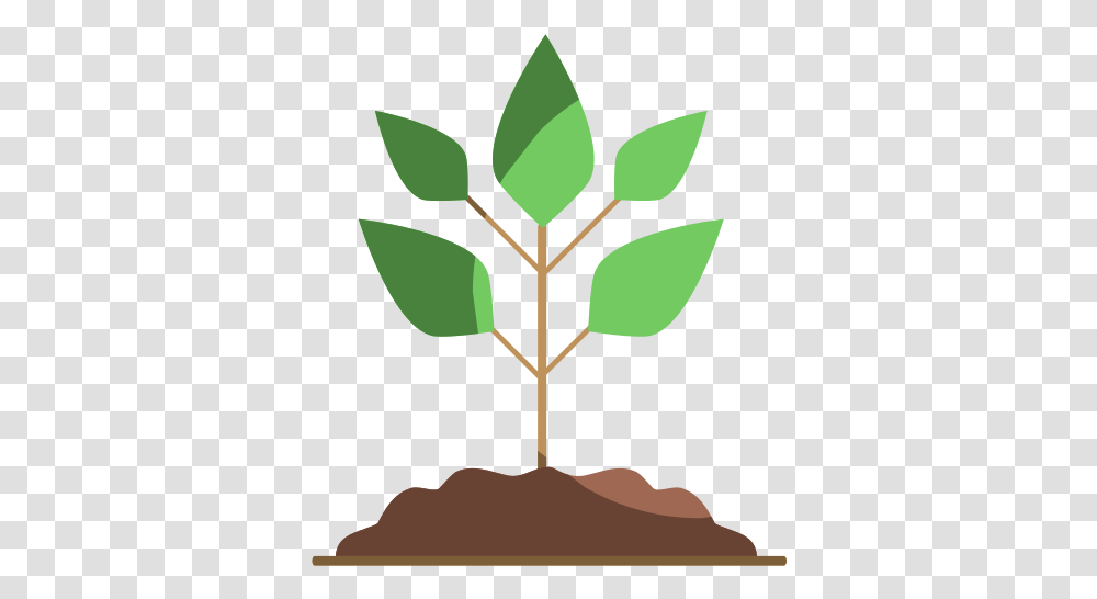 Fdx Soil Icon Free Download, Leaf, Plant, Food, Seed Transparent Png