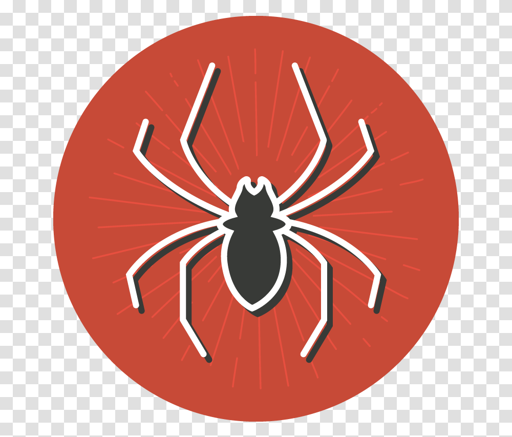 Fear Clipart Dead Spider, Plant, Insect, Invertebrate, Animal Transparent Png