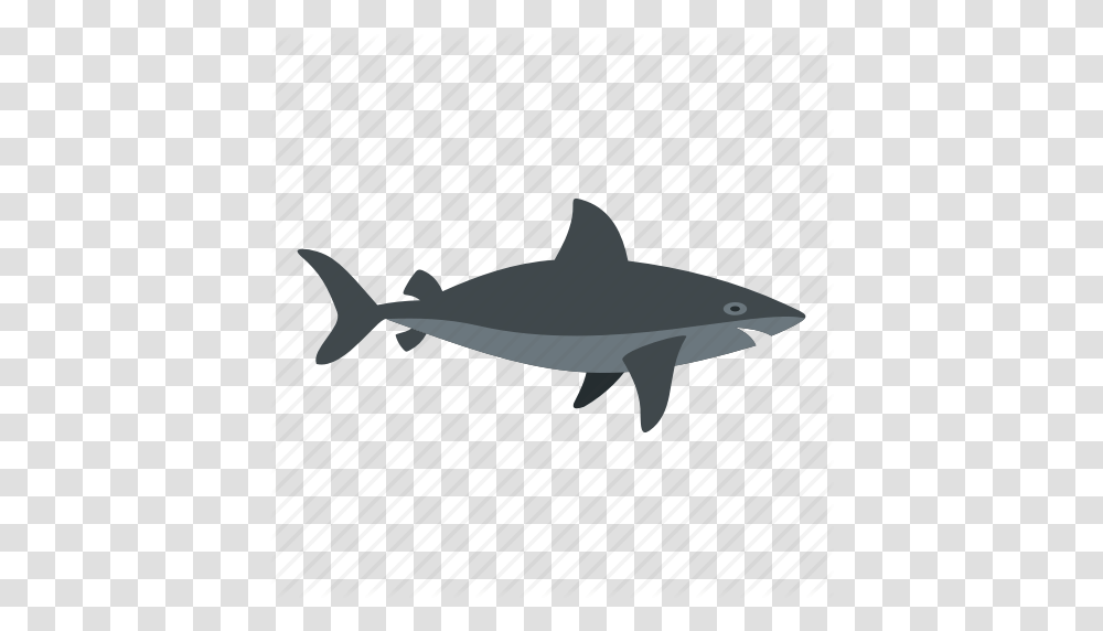 Fear Fish Horror Predator Sea Shark Teeth Icon, Sea Life, Animal, Mammal, Great White Shark Transparent Png