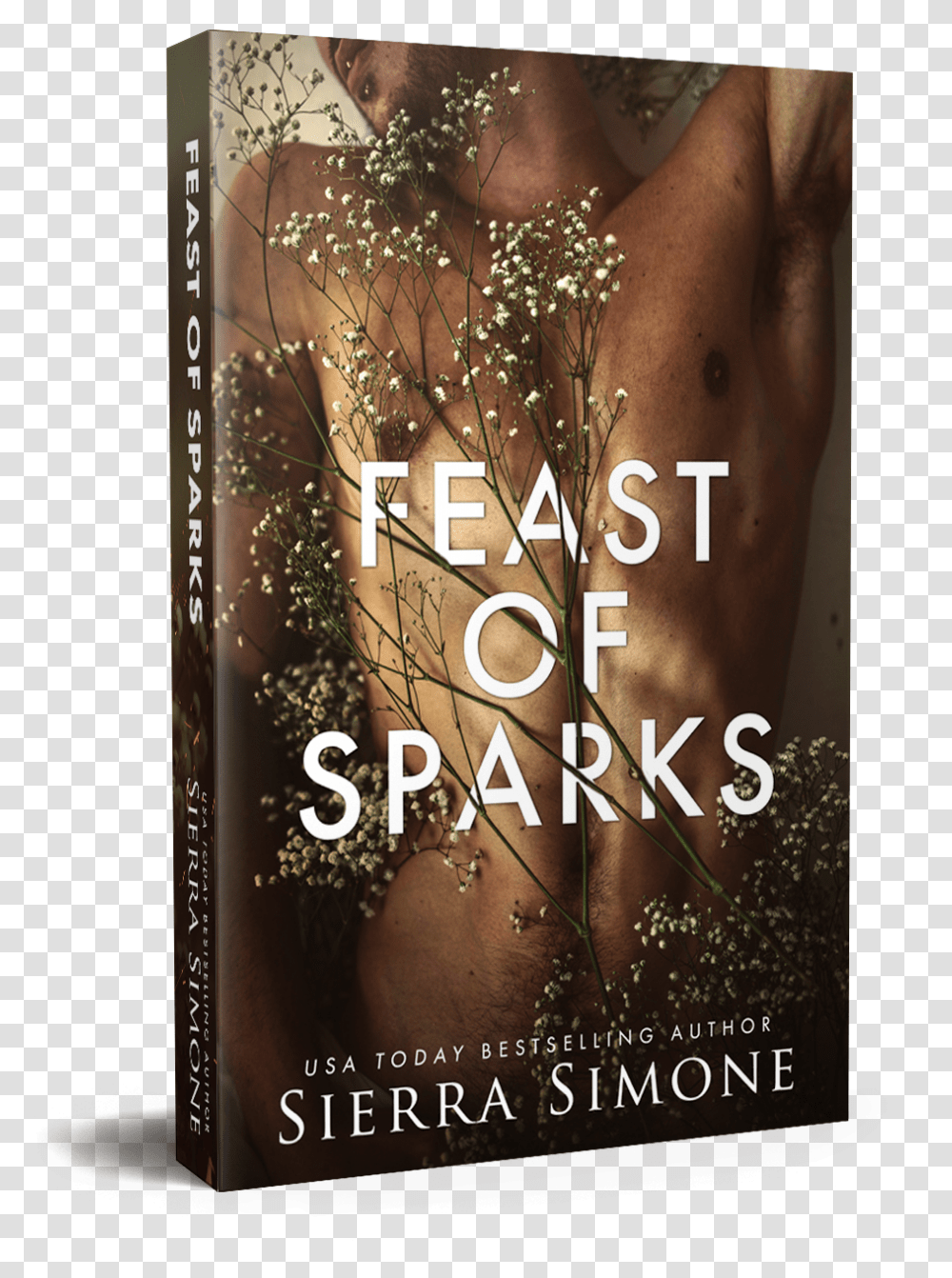 Feast Of Sparks Paperback Mock Flyer, Poster, Advertisement, Novel, Book Transparent Png