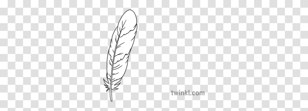 Feather 1 Fantastic Feathers Birds Animals Ks1 Black And Twinkl Autumn Leaves, Face, Graphics, Art, Leaf Transparent Png