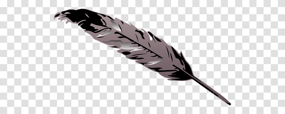 Feather Nature, Bottle, Leaf, Plant Transparent Png