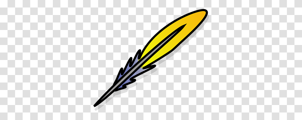 Feather Nature, Baseball Bat, Team Sport, Sports Transparent Png