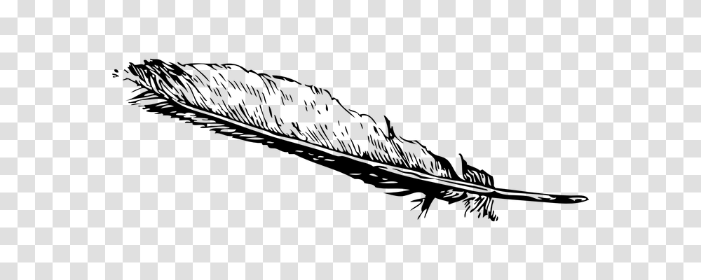 Feather Animals, Gray, World Of Warcraft Transparent Png