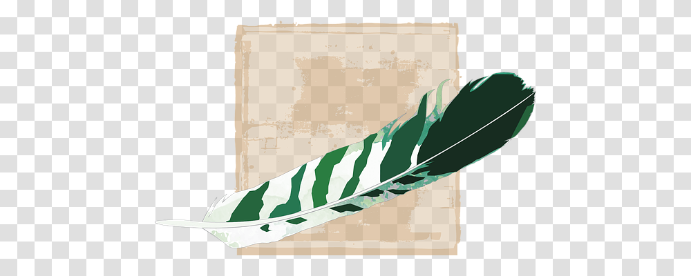 Feather Paper, Scroll, Luggage Transparent Png