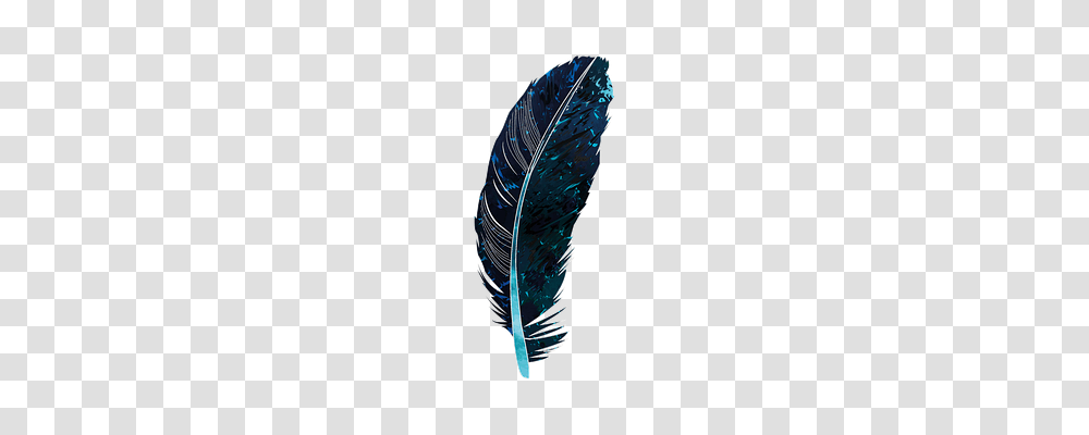 Feather Water, Sea, Outdoors, Nature Transparent Png