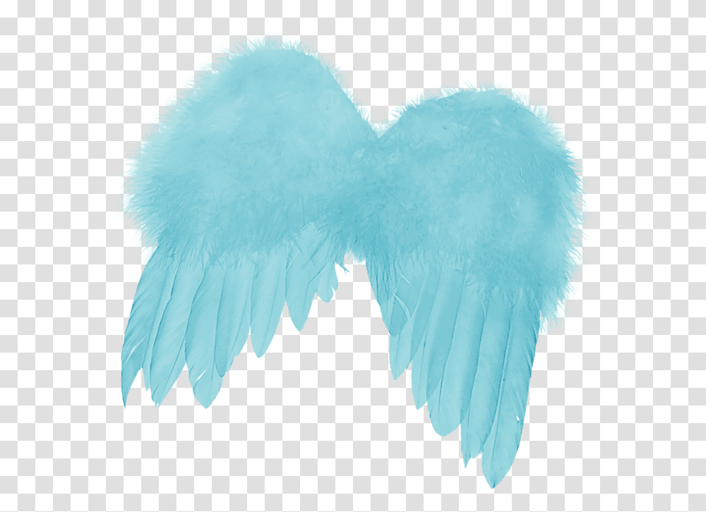 Feather Angels Angel Wing Blue Feather Wings Angel, Bird, Animal, Bear Transparent Png