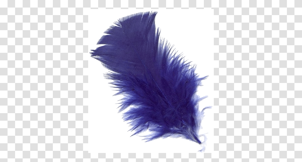 Feather, Animals, Apparel, Feather Boa Transparent Png