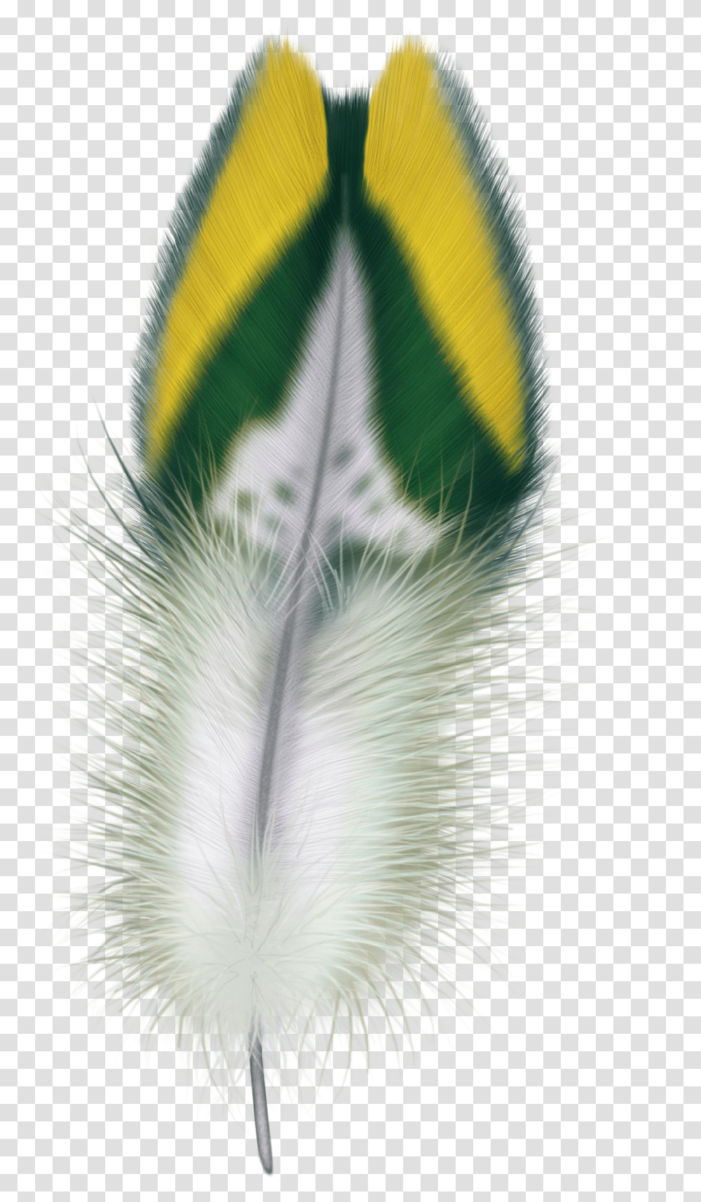 Feather, Animals, Advertisement Transparent Png
