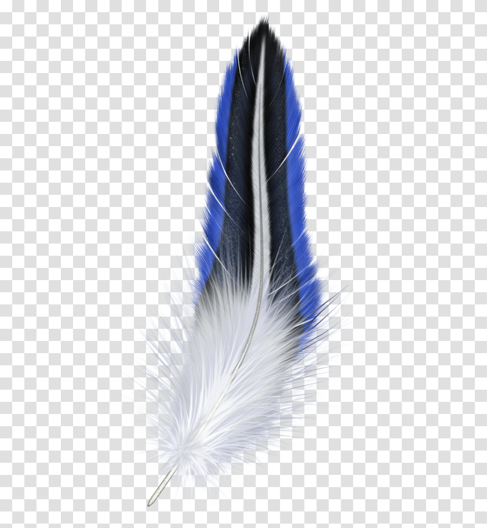 Feather, Animals, Bird Transparent Png