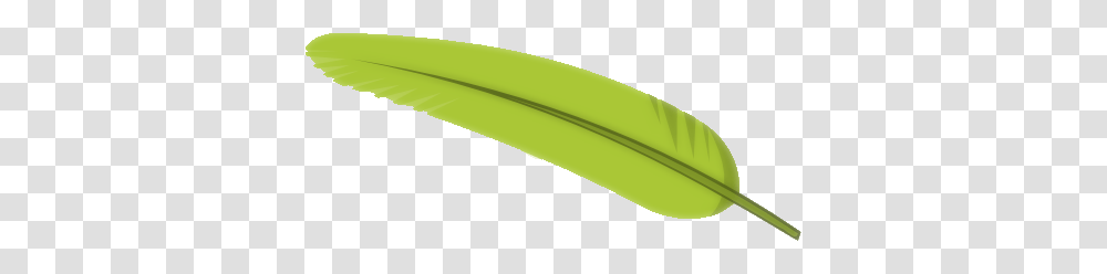 Feather, Animals, Leaf, Plant, Anther Transparent Png