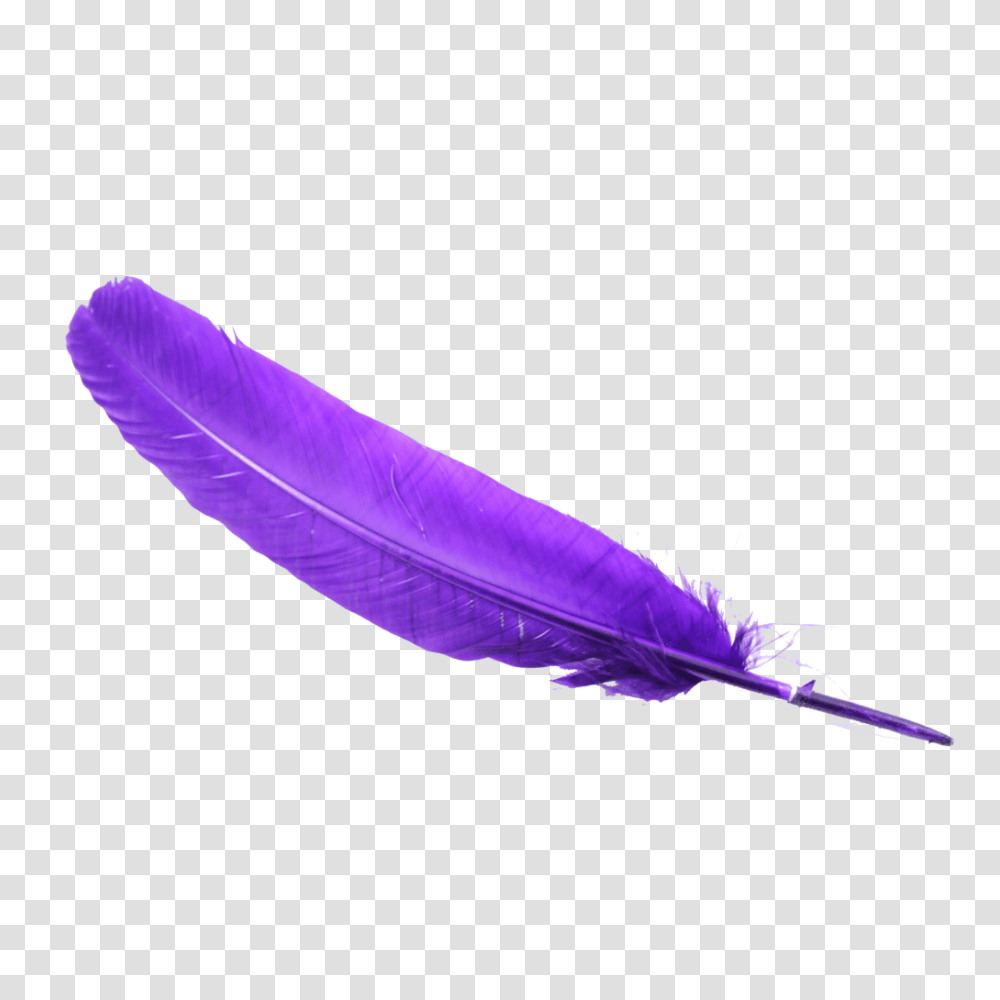 Feather, Animals, Pen, Bottle, Ink Bottle Transparent Png