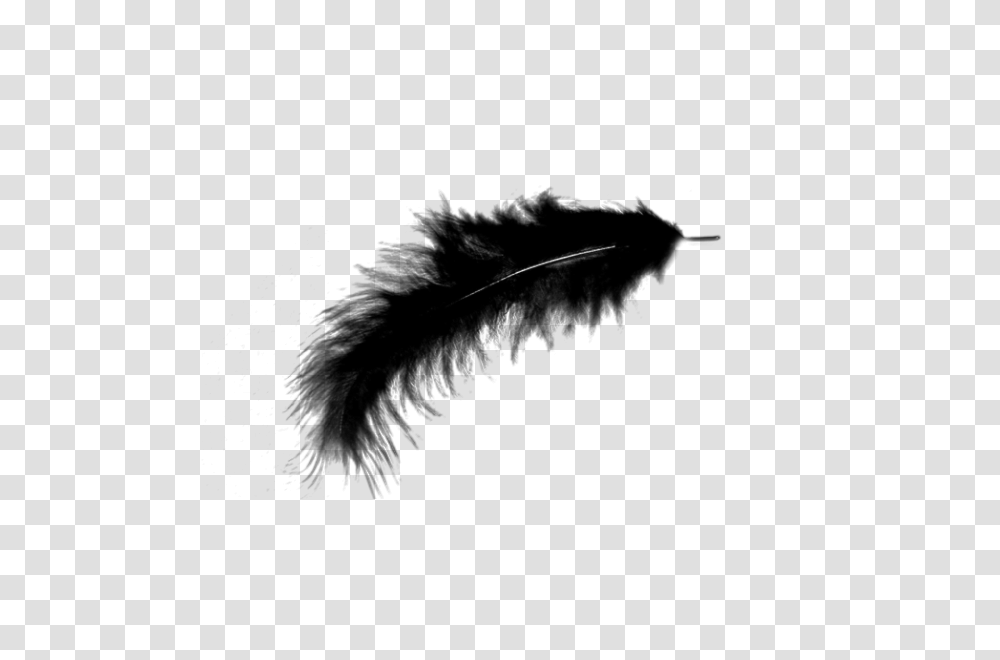 Feather, Animals, Silhouette, Stencil, Screw Transparent Png