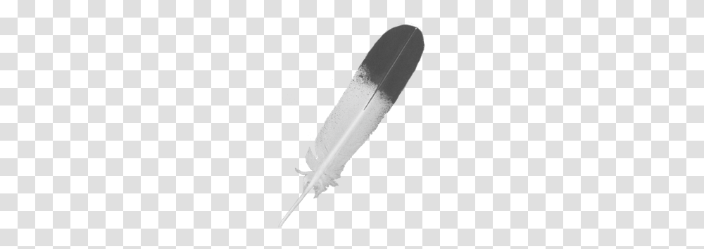 Feather, Animals, Weapon, Weaponry, Blade Transparent Png