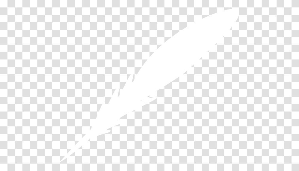 Feather, Animals, White, Texture, White Board Transparent Png