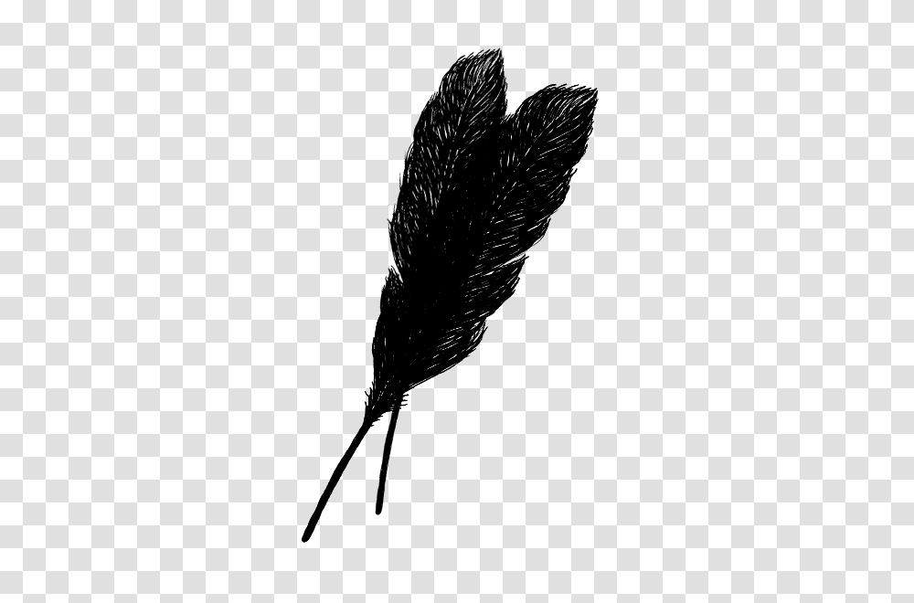 Feather Archaeopteryx, Stencil, Silhouette Transparent Png