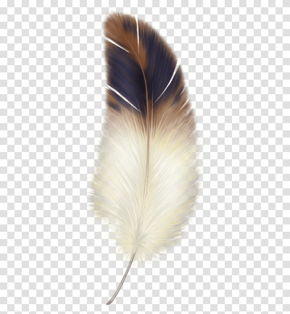 Feather, Bird, Canvas Transparent Png