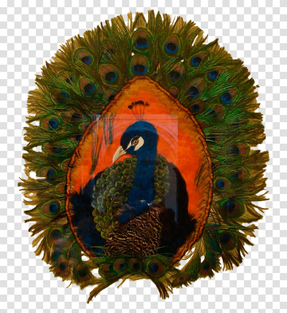 Feather Art Peafowl, Ornament, Pattern, Bird, Animal Transparent Png