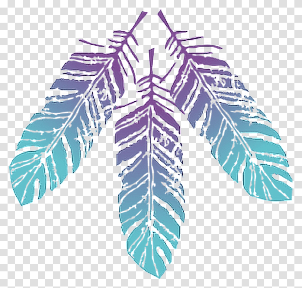 Feather Background Boho Clipart, Leaf, Plant, Fern, Tree Transparent Png